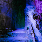 Сказочный лес и пещера