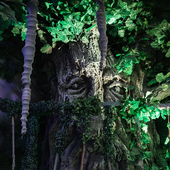 Сказочный лес и пещера