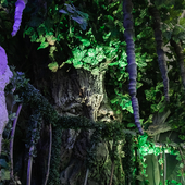 Сказочный лес и пещера