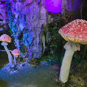 Сказочный лес и пещера