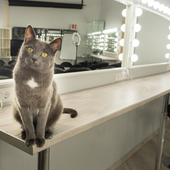 № 12 Гримерный класс