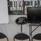 № 12 Гримерный класс