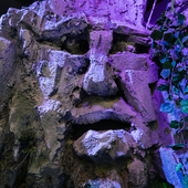 Сказочный лес и пещера