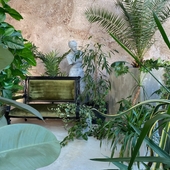 Оранжерея (Зал №10)