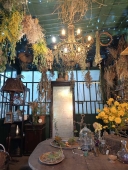 Травница Новый Год с 5 ноября