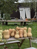 Локация для мероприятий (утро)