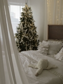 Gray Новогодний декор с 10.11