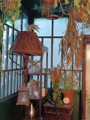 Травница Новый Год с 5 ноября