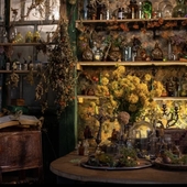 Травница Новый Год с 5 ноября