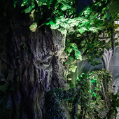 Сказочный лес и пещера