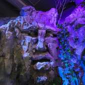 Сказочный лес и пещера