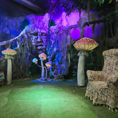 Сказочный лес и пещера