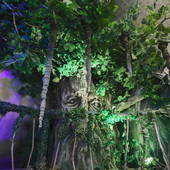 Сказочный лес и пещера