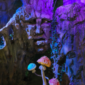 Сказочный лес и пещера