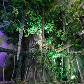 Сказочный лес и пещера