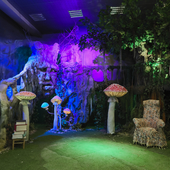 Сказочный лес и пещера