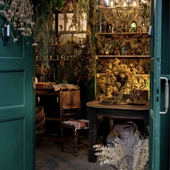 Травница Новый Год с 5 ноября