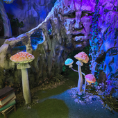 Сказочный лес и пещера