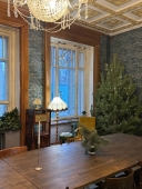 Дом Липы №3