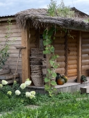 Кедровая баня