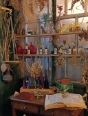 Травница Новый Год с 5 ноября