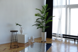 SVET с кухней и новогодней зоной