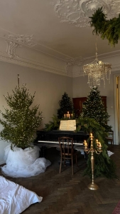 Большая комната на Петроградской