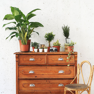 Главный зал