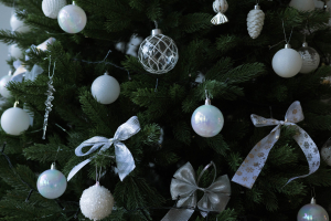 SVET с кухней и новогодней зоной