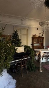 Большая комната на Петроградской