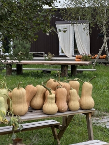 Локация для мероприятий (утро)