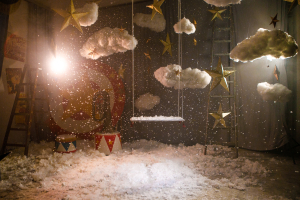 Птички | ШЕПОТ ЗВЕЗД с 19.11 до 25.01