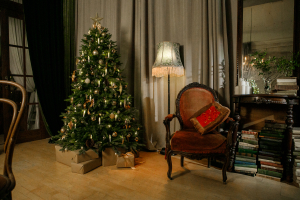 Пристань | ДУХ РОЖДЕСТВА с 12.11 до 20.01