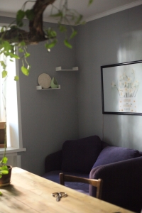 Цветы и травы