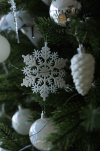 SVET с кухней и новогодней зоной