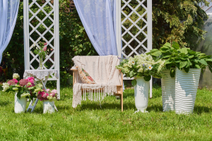 Фотодача «Традиция»