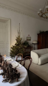 Гостиная в особняке на Выборгской