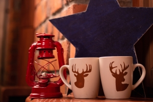 Зал LOFT (НГ декорации 27.10 по 20.01)