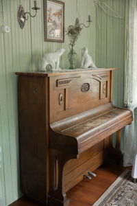 Фотодача «Традиция»