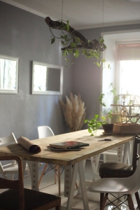 Цветы и травы