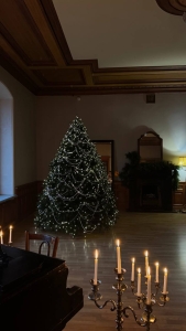 Каминный зал в особняке на Невском