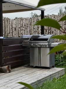 Локация для мероприятий (утро)