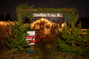 Фотодача Kalina