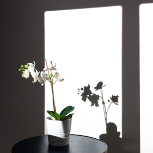 Основной зал