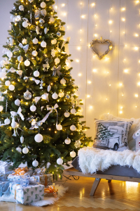 SVET с кухней и новогодней зоной