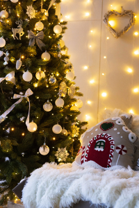 SVET с кухней и новогодней зоной