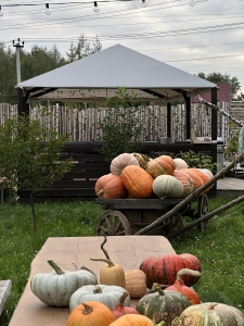 Локация для мероприятий (вечер)