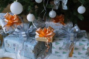 SVET с кухней и новогодней зоной