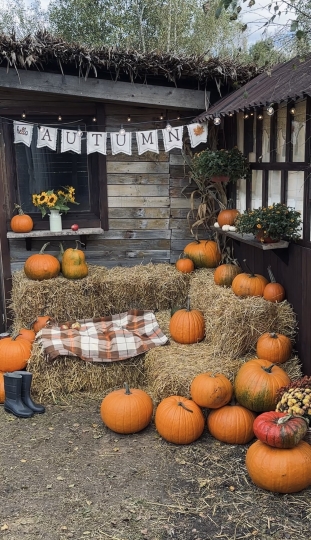 Локация для мероприятий (утро)