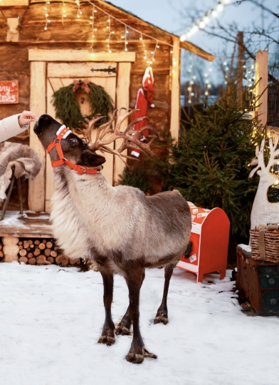 Фотодача Kalina